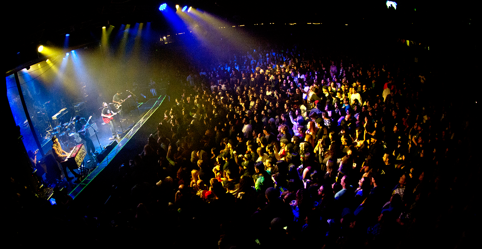 The Expanders photo by Sean McCracken
